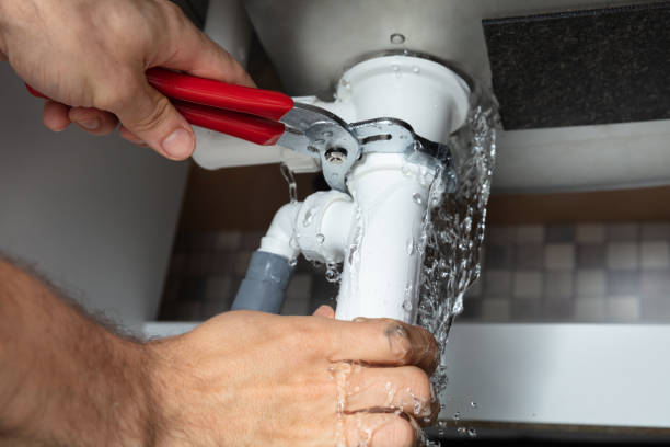 Best Flooded house restoration  in Clearwater, MN