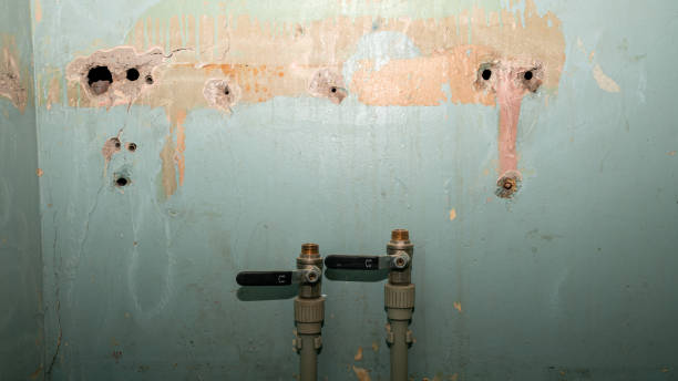 Best Water damage restoration experts  in Clearwater, MN
