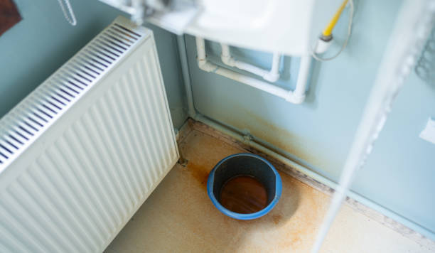 Best Water damage restoration mold remediation  in Clearwater, MN