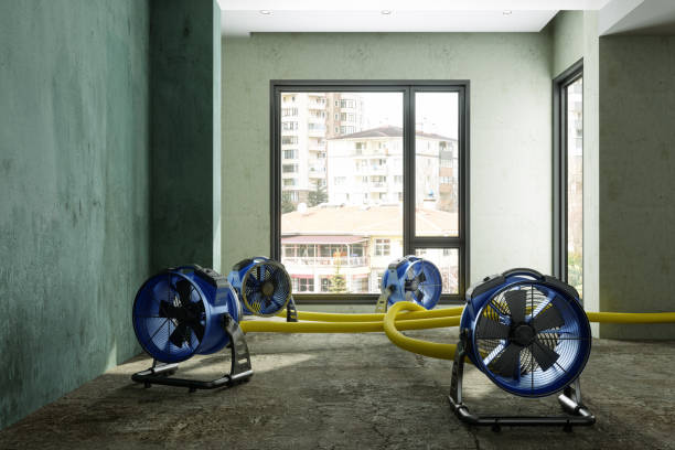 Best Commercial water damage restoration  in Clearwater, MN