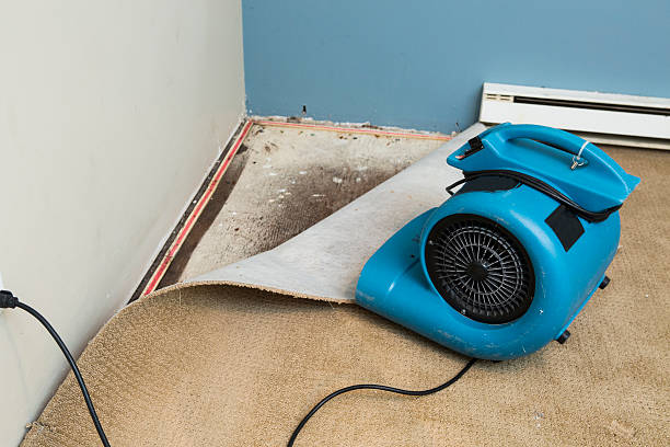  Clearwater, MN Water damage restoration Pros